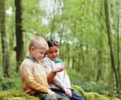 HAPE Entdecker - Käferglas -Hape Verkaufsgeschäft 14568014 05