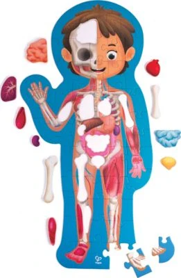 HAPE Puzzle Mein Körper, 60-tlg. Anatomie-Puzzle Mit Organen Aus Holz 1 HAPE Puzzle Mein Körper, 60-tlg. Anatomie-Puzzle Mit Organen Aus Holz
