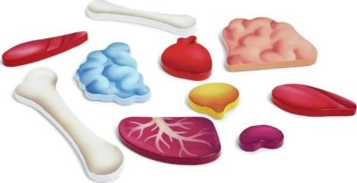 HAPE Puzzle Mein Körper, 60-tlg. Anatomie-Puzzle Mit Organen Aus Holz 3 HAPE Puzzle Mein Körper, 60-tlg. Anatomie-Puzzle Mit Organen Aus Holz – Bild 3