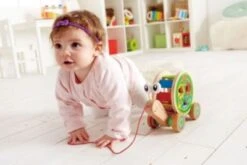 Hape Verkaufsgeschäft -Hape Verkaufsgeschäft 3534105 02